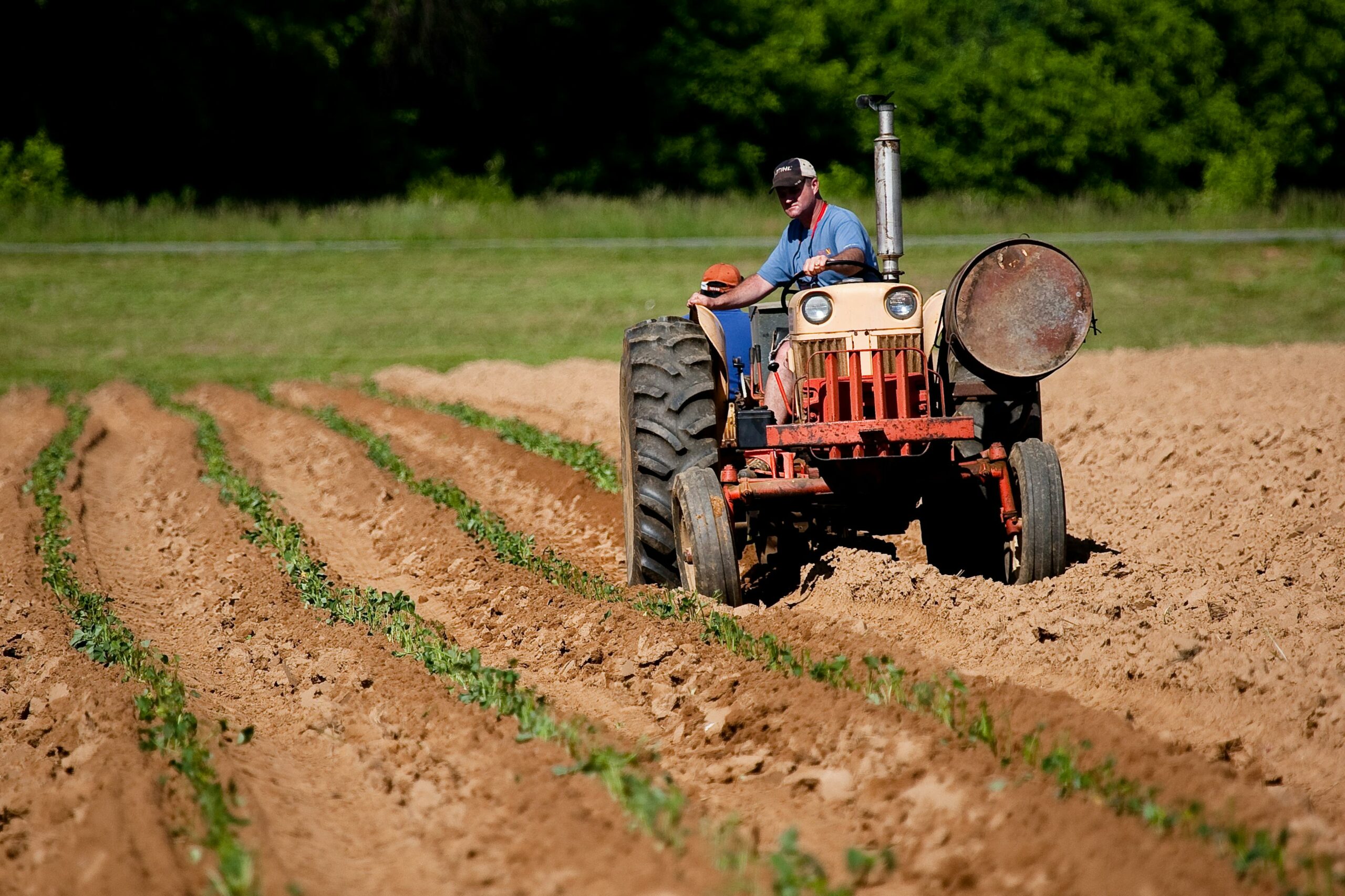 Mann, Der Roten Traktor Auf Feld Reitet